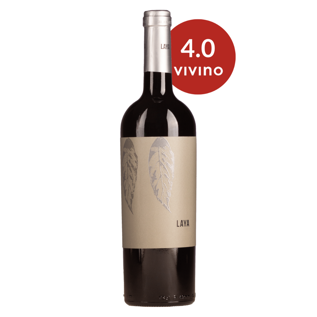 Juan Gil Laya Almansa 2023