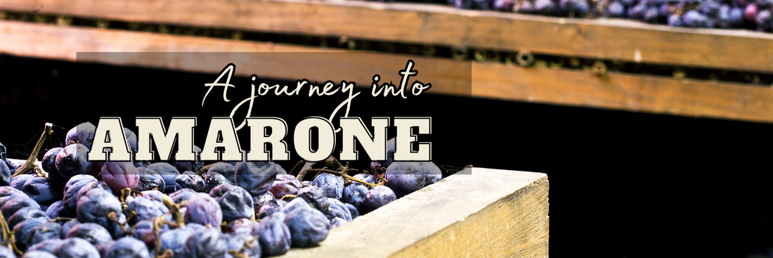 A Wine Journey from Italy to Singapore: Explore the World of Amarone