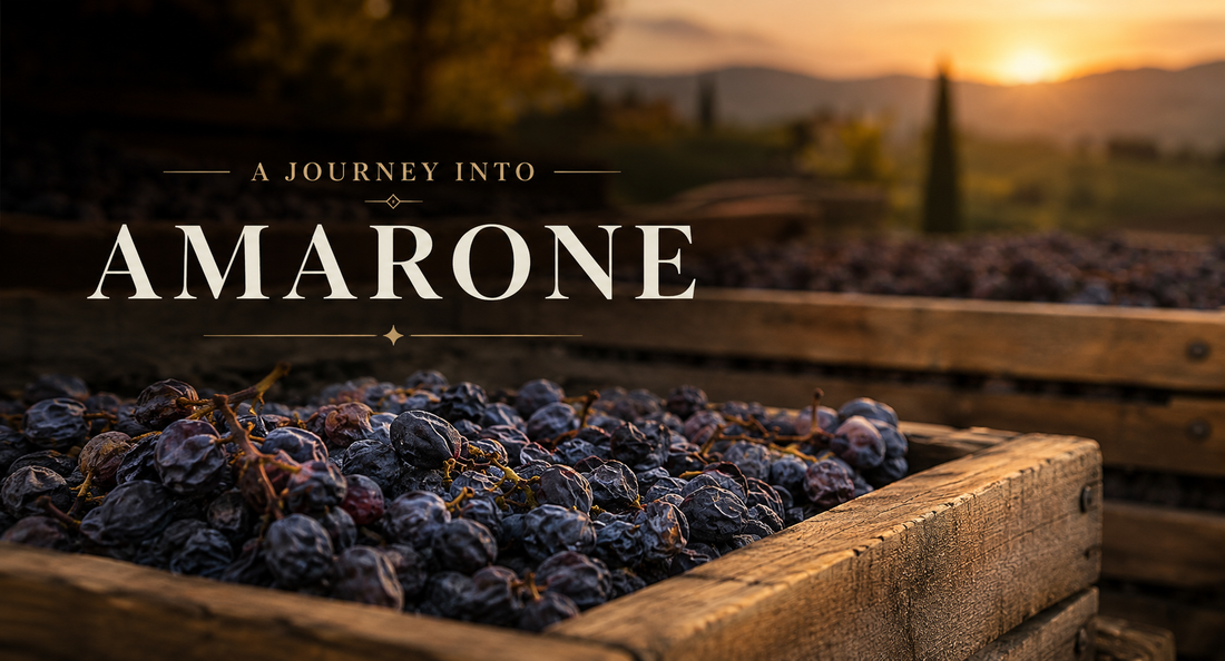 Amarone Wine