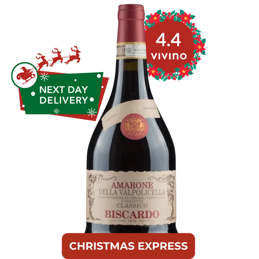 🎄Biscardo Amarone della Valpolicella DOCG 2021 (Christmas Express)🎄
